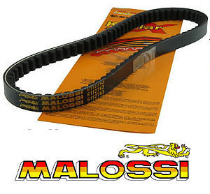 Courroie malossi pour kymco - courroie,
