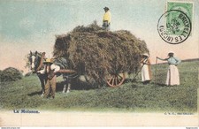 CP BELGIQUE BRUXELLES LA MOISSON- ATTELAGE - 28456