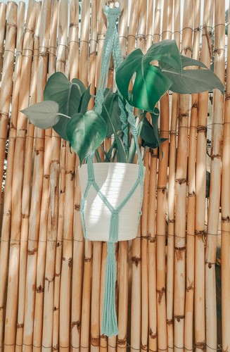 Porta piante macrame plant - piante, macrame,plant
