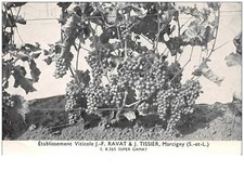 71 . n° 49944 . marcigny 