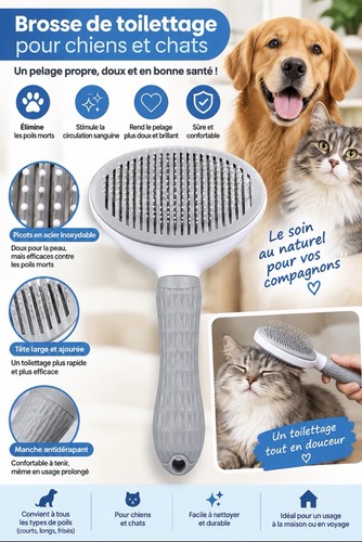 Brosse toilettage classique - brosse, de