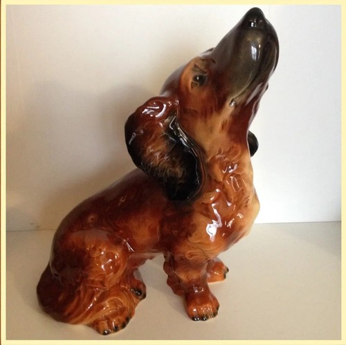 Chien basset teckel - basset,