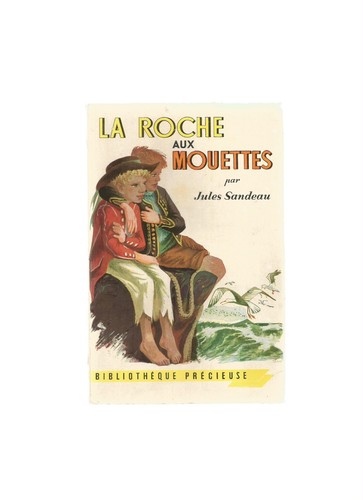Roche aux mouettes - la,
