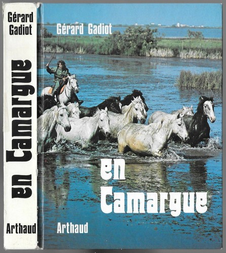 Camargue taureaux chevaux - en,