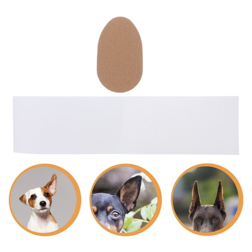Boxes support oreille chien - 2,