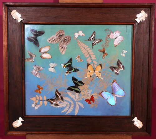 Cadre colonial palmier art - cadre,