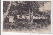 THORENC : rucher model, miel des alpes Hré FUNEL - très bon état