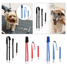 Chien toilettage ventre sangle