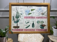 Carte Affiche Scolaire MDI 