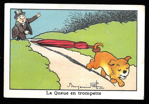 Queue trompette - la,