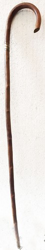 Canne ancienne bois - canne, noueux