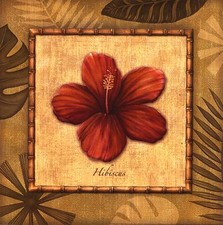 Estampe ~ Paradiso II Charlene Audrey Hibiscus Plante Floral Décor Maison