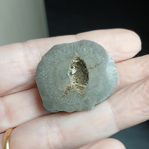Baryte dans nodule - , septaria