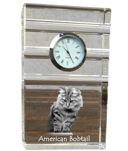 Amerikanisch bobtail bagues - bobtail,
