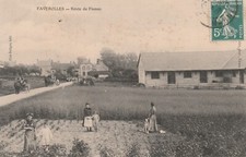 CPA 51 FAVEROLLES Route de Fismes