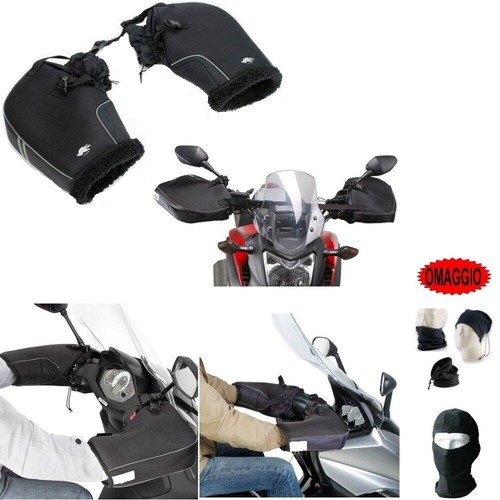 Pour fantic motor - motor, koala