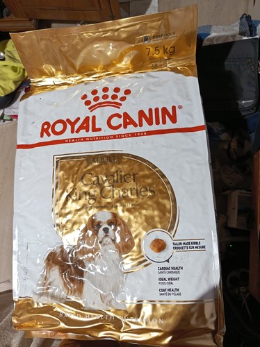 Croquettes cavalier king - cavalier,
