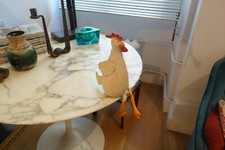 Poule poulet décorative