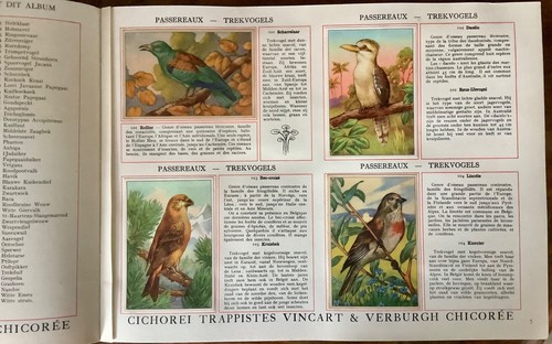 Album chromos les oiseaux - les,