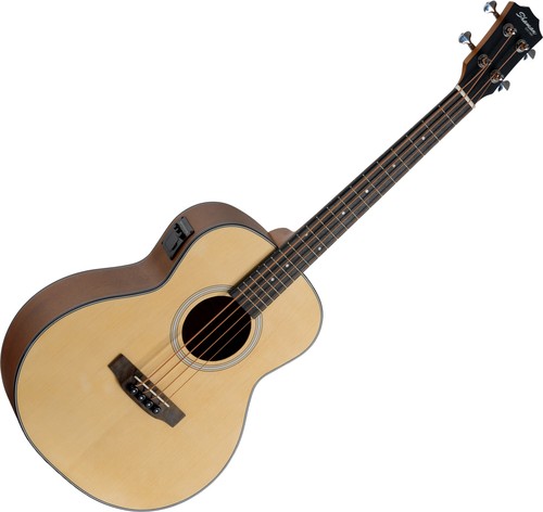 Shaman mini basse acoustique - mini,