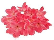 Lot de 10 tiges de fleurs de