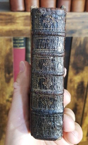 Corvinus johannes arnoldi - corvinus,