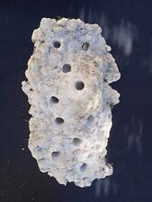 WYSIWYG Porte Boutures Support En Véritable Roche Récifal Aquarium Mer Marin