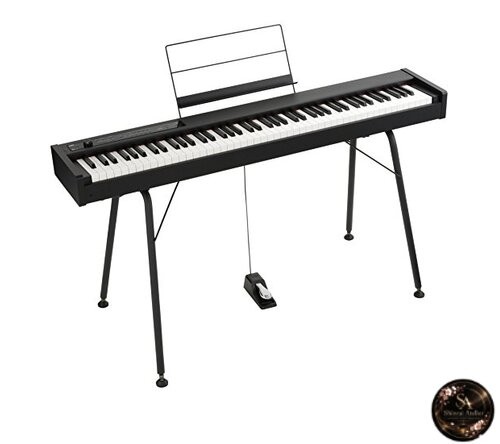 Korg digital piano - korg,