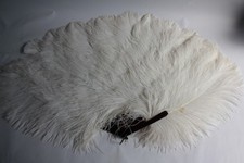 Ancien Grand Éventail Plumes