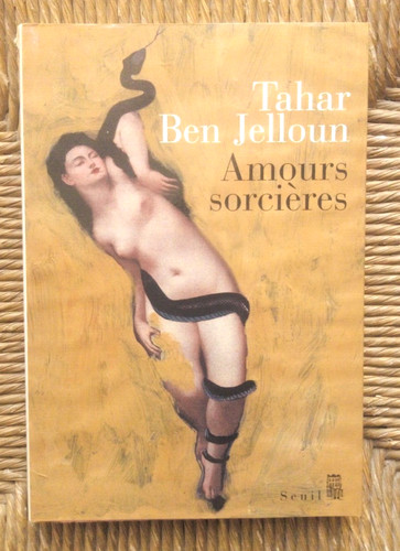Livre nouvelles amours - livre,