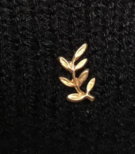 Pin maconnique acacia - pin's,