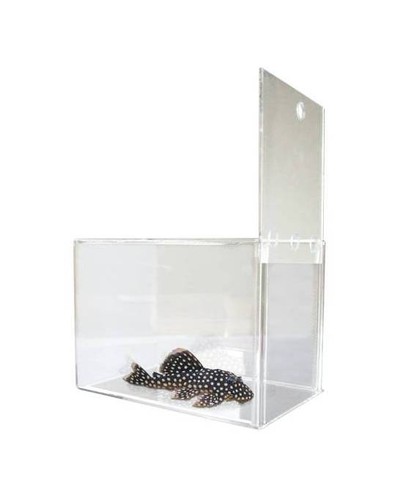 Piège poisson hobby genius - piège,
