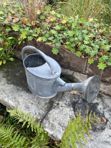 Ancien arrosoir zinc non - en,