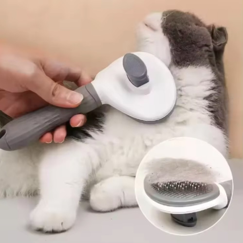 Brosse chien chat - , auto