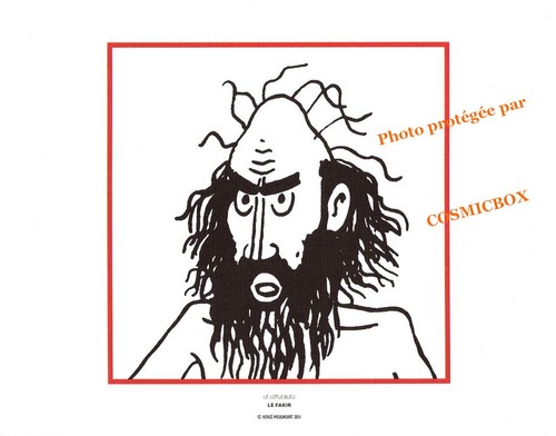 Libris tintin fakir du - le,
