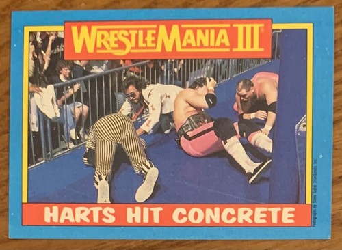 Bret hart jim the - hart,