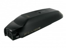 Pour FLYER Upstreet5, Lion