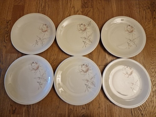 Lot assiettes plates - 6,