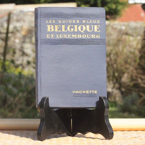 Livre les guides bleus - les,