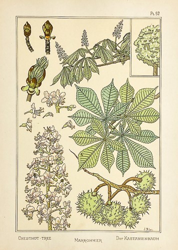 Original 1896 grasset - 1896, la