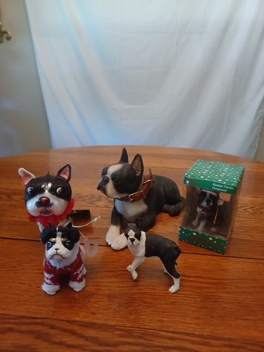 Boston terrier - #27,