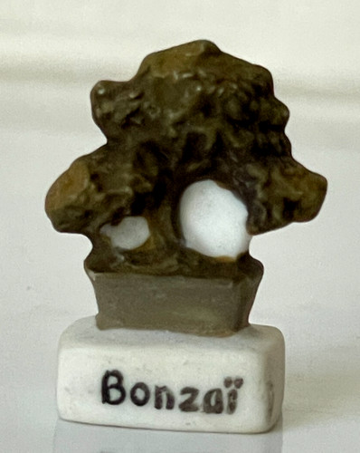 Fève bonzaï japonais - japonais, arbre