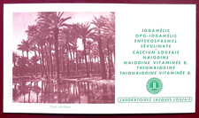 BUVARD - OASIS D'IN-SALAH