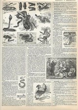 Gravure Presse - Les Serpents venimeux