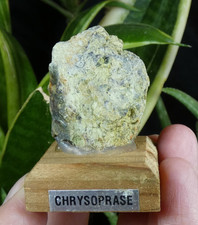 Chrysoprase sur Socle 10.5x9cm