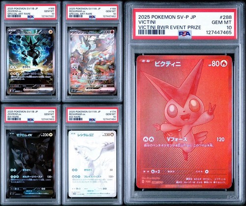 Psa set séquentiel - séquentiel, zekrom