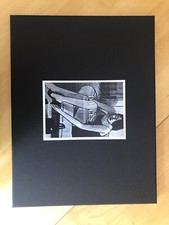 Portfolio Douces - TBE - Jean Claude Gotting