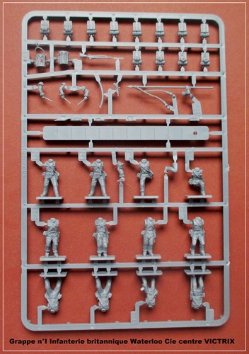 Victrix grappes infanterie - grappes,