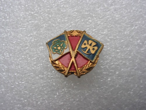 Broche drapeaux amitié - de, l'amitié