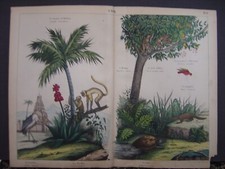 Image Lithographie Fasoli